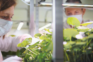 MARTIN PARAPATITS UND ESZTER SIMON IN DER INDOOR FARM ©SUSANNE LOSCH