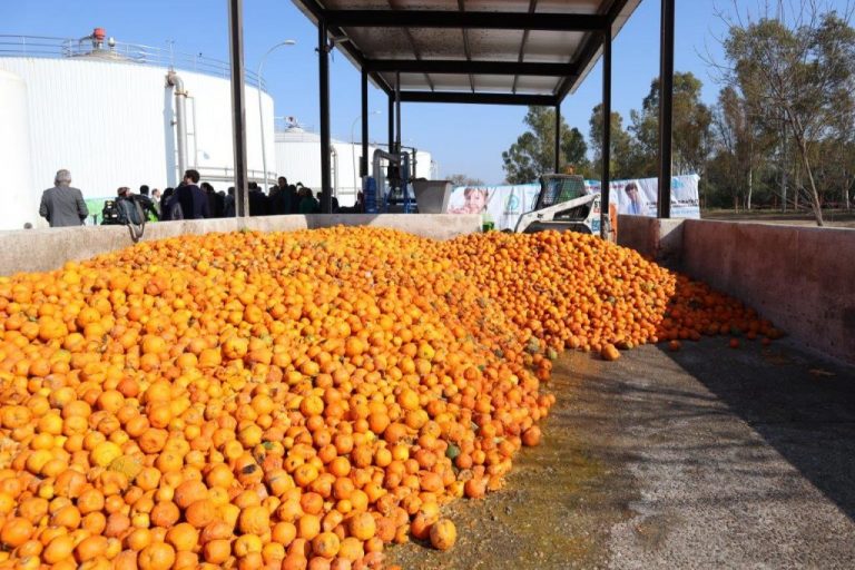 Oranges for Electricity © EMASESA