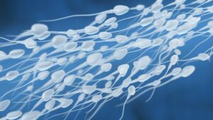 Ein neuartiges Gel zur Geburtenkontrolle für Männer wirkt schneller als ähnliche Verhütungsmittel, so das National Institute of Health aus den USA. © NIH
