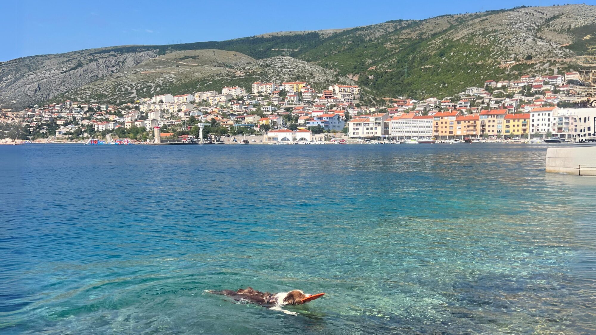 Tesla laden am Wasser: Der Ausblick von der Tesla Supercharge-Ladestation in der Kleinstadt Senj im Süden von Kroatien war traumhaft. Und immerhin konnte sich der Hund während des Ladevorgangs abkühlen. © Julia Gerber / Trending Topics 