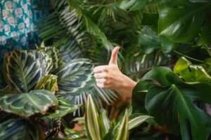 Thumb up! © Katya Ross auf Unsplash